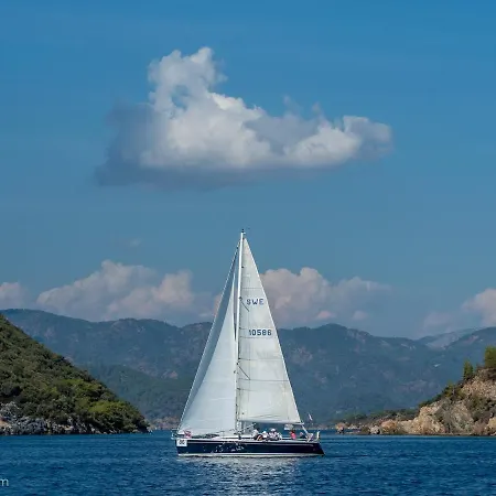 Sailboat Grand Soleil 34.1 بوتيل *